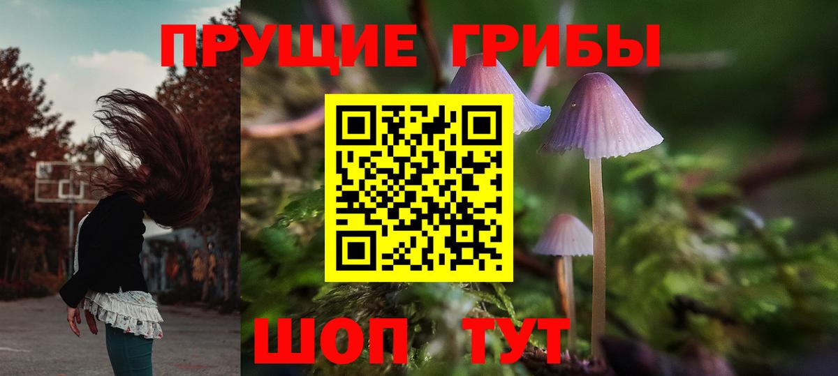 Галлюциногенные грибы Magic Shrooms Архангельск