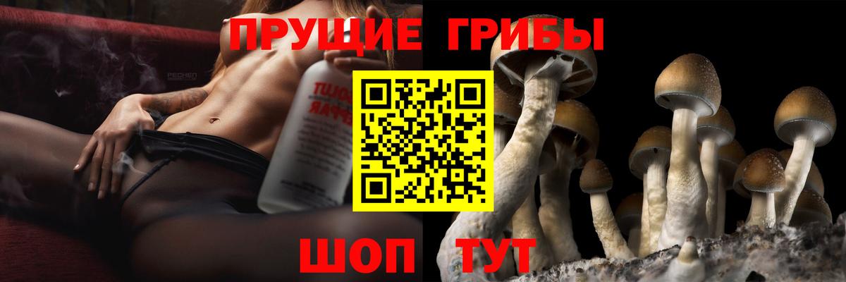 Архангельск  где можно купить наркотик  Вход с VPN  Галлюциногенные грибы Psilocybe 